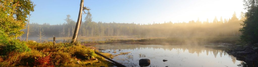 Höchste Zeit für ursprünglichen Naturschutz