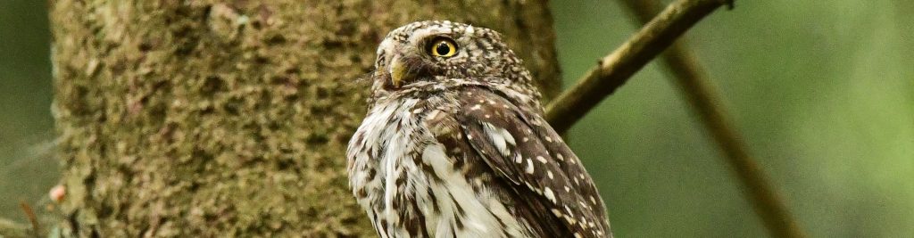 Neues zum Naturschutz direkt in Ihr Postfach